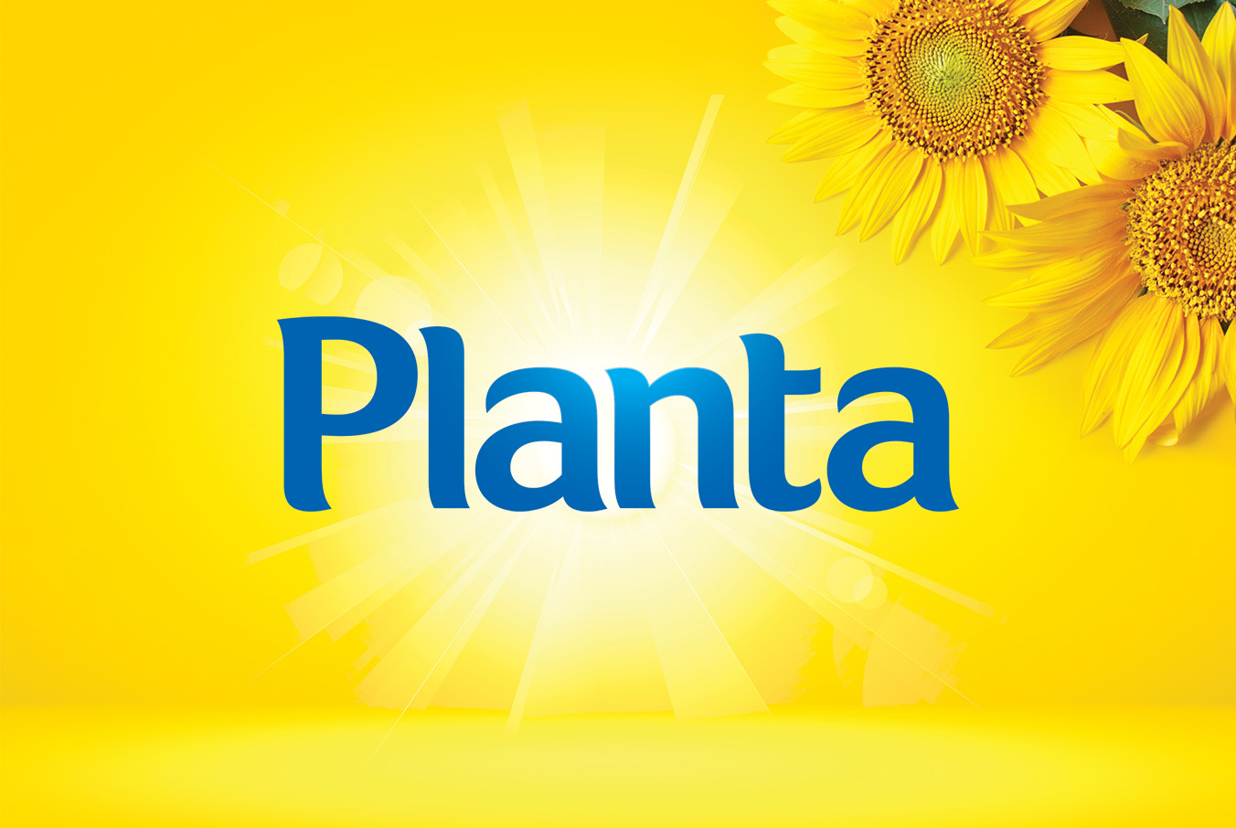 Planta_02