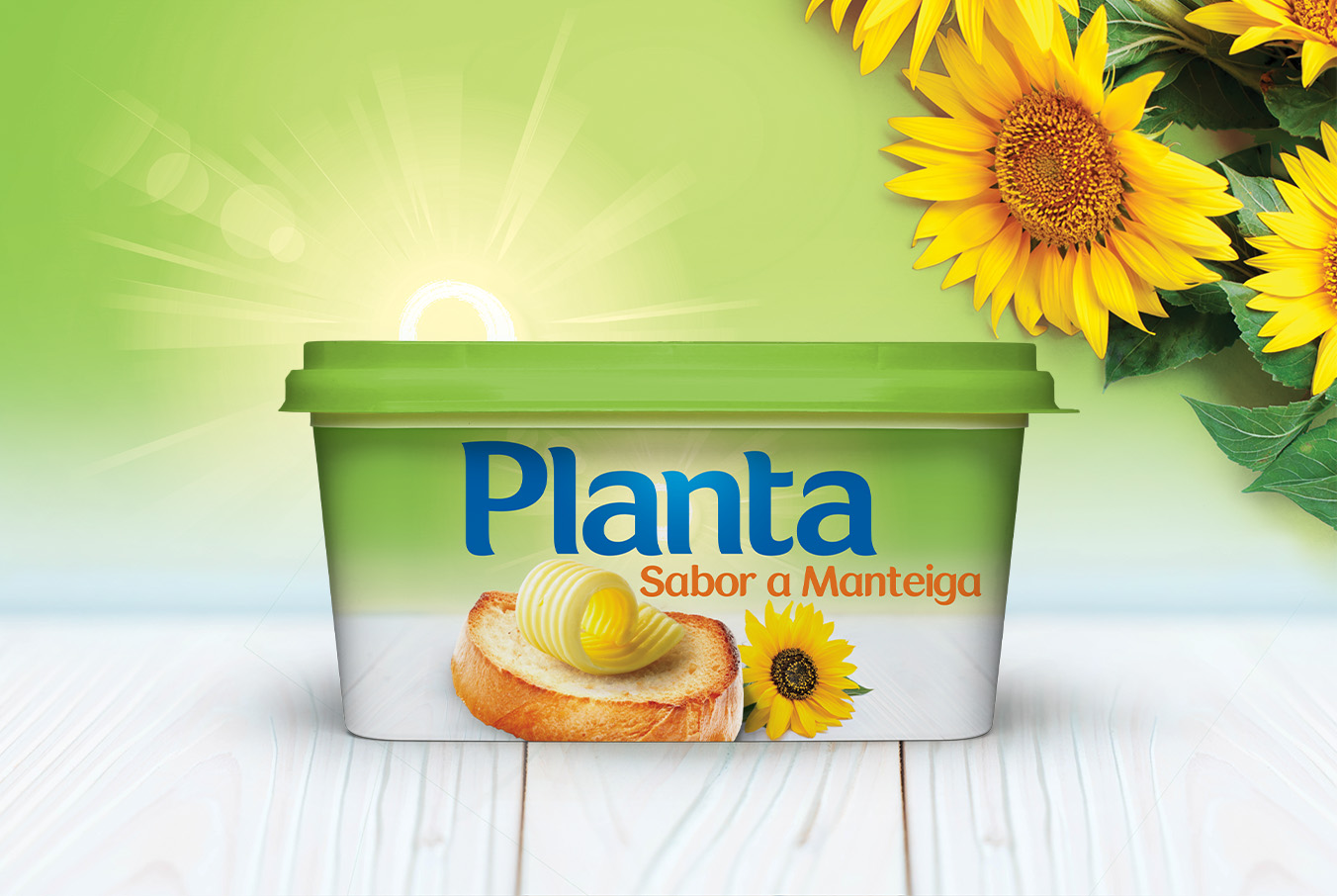 Planta_04
